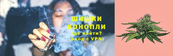 ешки Новодвинск
