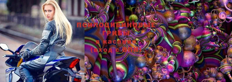 Псилоцибиновые грибы Magic Shrooms  купить  сайты  Струнино 